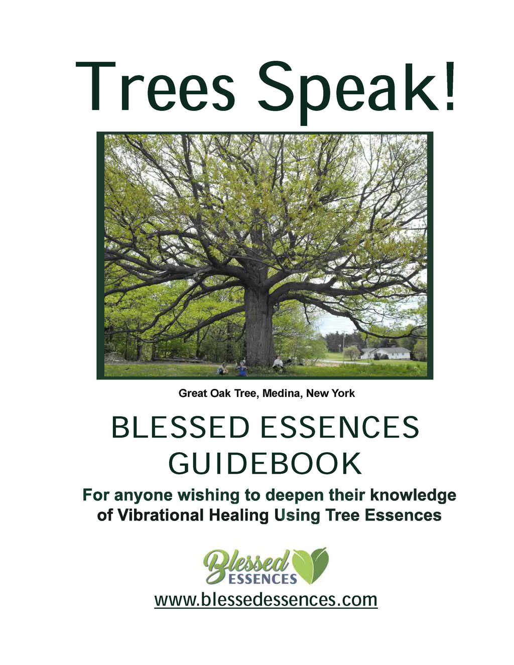 Trees Speak! Blessed Essences Guidebook