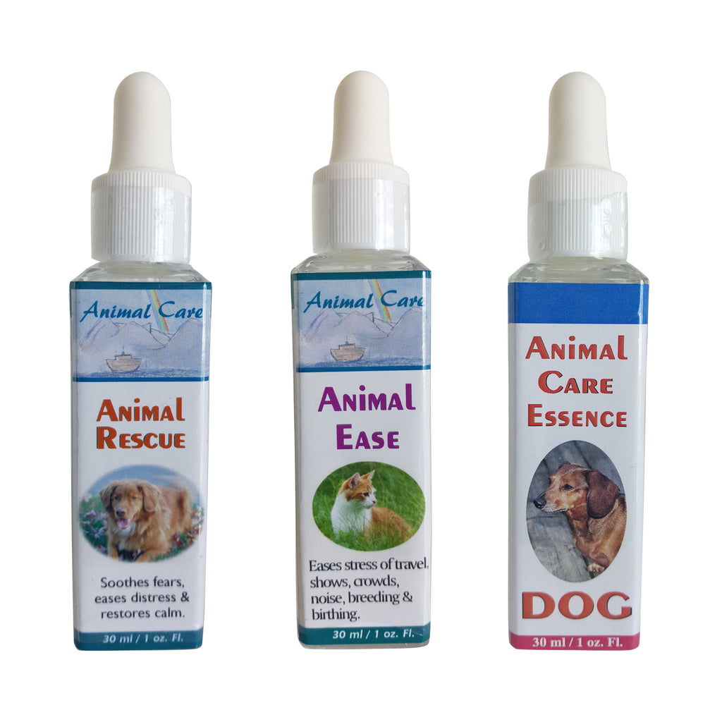 Trilogy of Essences for Well Being for Dogs